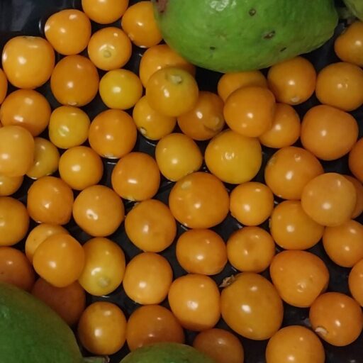 Fruitful Kenya